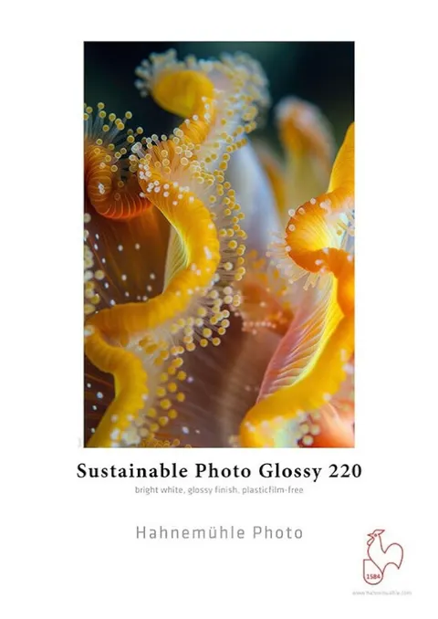 Papier fotograficzny HAHNEMUHLE Sustainable Photo Glossy 220 g/m2 - A2, 25 arkuszy