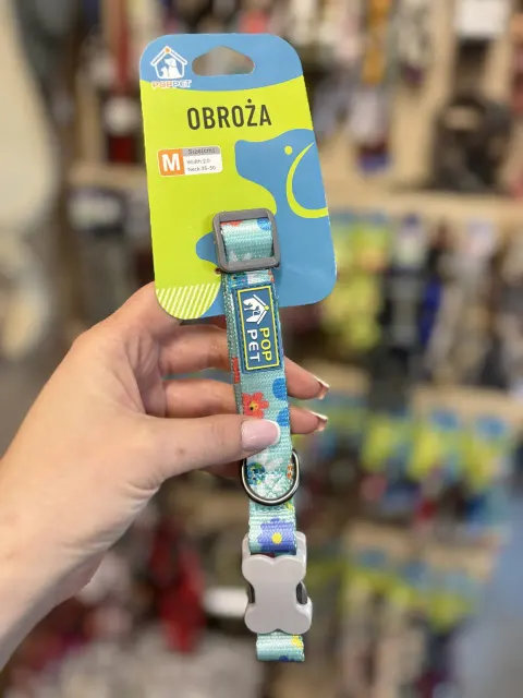 Obroża dla psa Komiks M Turkusowa