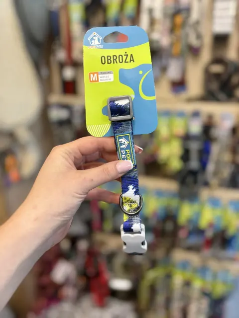 Obroża dla psa Komiks M Niebieski