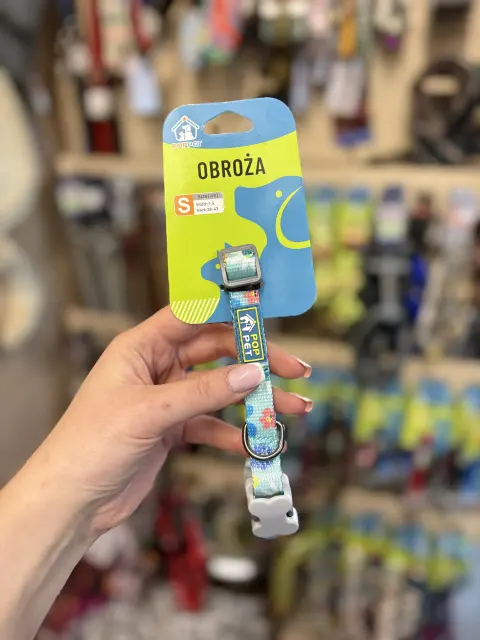 Obroża dla psa Komiks S Turkusowy