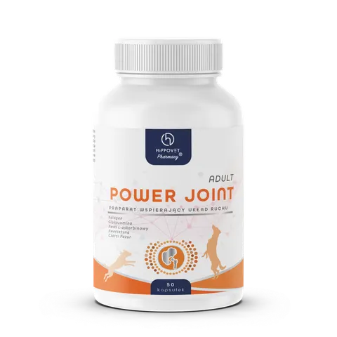 Hippovet Pharmacy Power Joint Adult 50 kapsułek – suplement na stawy dla dorosłych psów