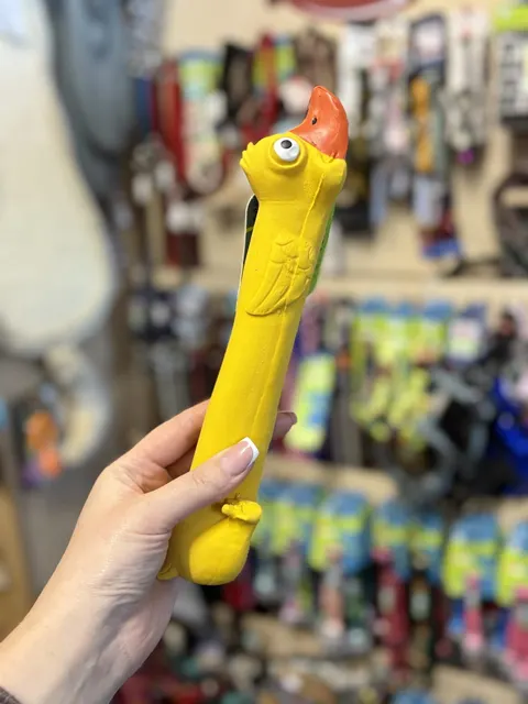 Zabawka gumowa Duck