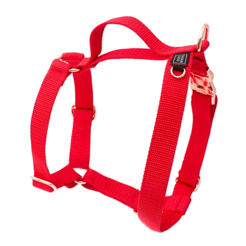 Szelki dla psa GUARD basic czerwone