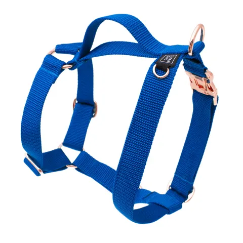 Szelki dla psa GUARD basic niebieskie
