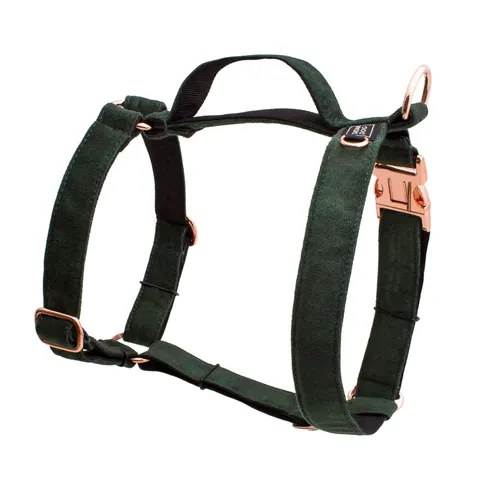 Szelki dla psa GUARD elegant butelkowa zieleń