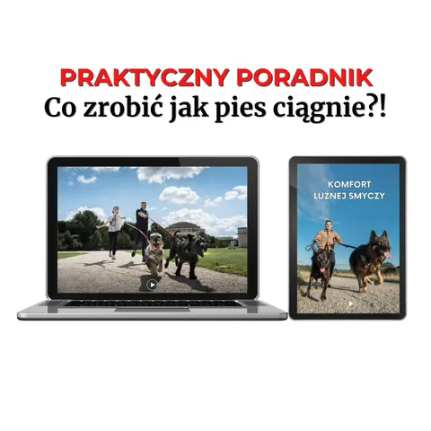 Poradnik - Co zrobić jak pies ciągnie