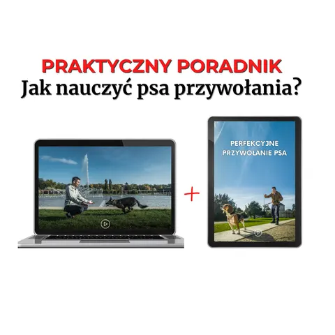 Poradnik - Jak nauczyć psa przywołania