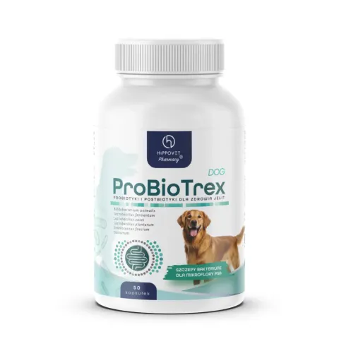 ProBioTrex DOG 50 kapsułek Hippovet Pharmacy probiotyk i postbiotyk dla psów