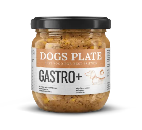 Dogs Plate Vet Gastro+ 360g