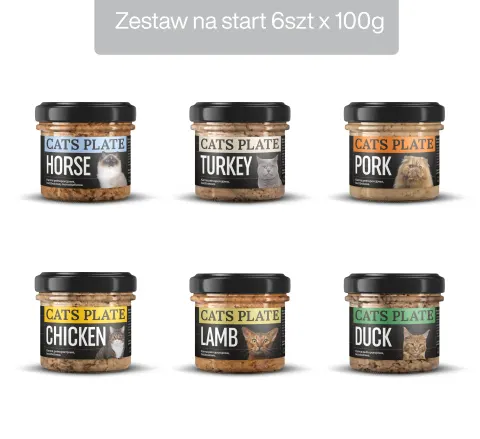 Zestaw 6 słoików na start - Cats Plate 100g