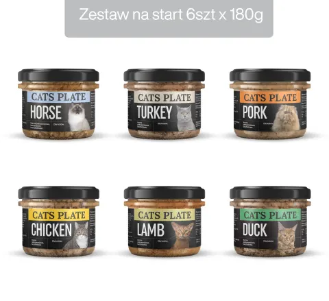 Zestaw 6 słoików na start - Cats Plate 180g