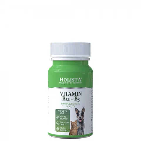 HOLISTA Vitamin B12 + B3 90 Tabletek