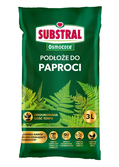 Podłoże ziemia do paproci 3 l - Substral