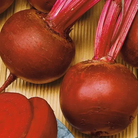 Burak Ćwikłowy 'Rote Kugel 2' – Okrągły – Nasiona – Kiepenkerl
