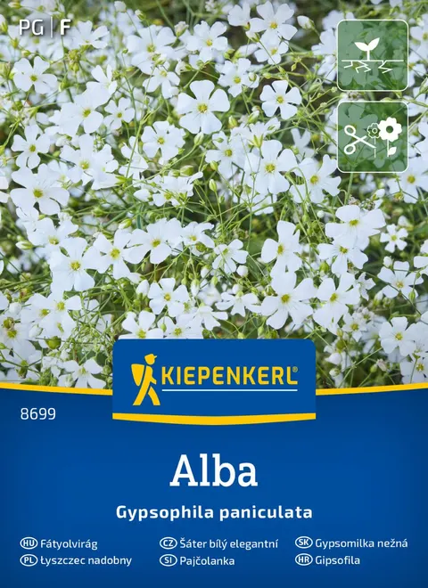 Łyszczec nadobny 'Alba' gipsówka - nasiona Kiepenkerl
