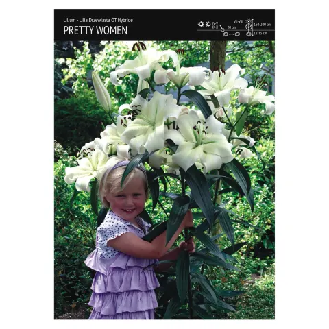 Lilia drzewiasta "Pretty Woman" - 1 szt.