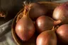 Cebula dymka zimująca Shakespeare – 0,5 kg 10-21 mm – wczesny zbiór i wiosenny szczypior – Benex