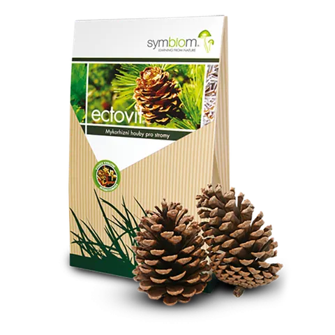 Mikoryza Ectovit – Do Iglaków – 100 g Symbiom