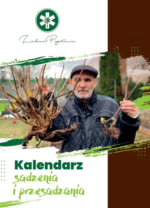 Kalendarz sadzenia i przesadzania roślin