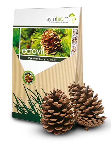 Mikoryza do iglastych ECTOVIT 100 g