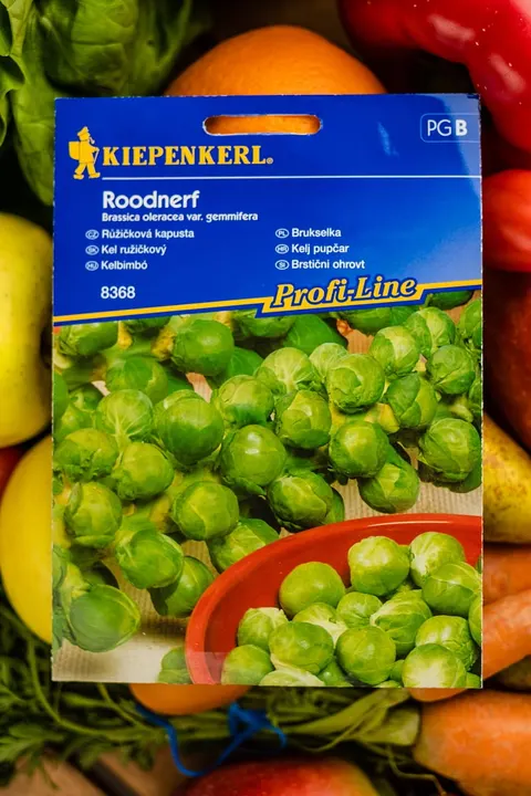 Brukselka "Roodnerf"