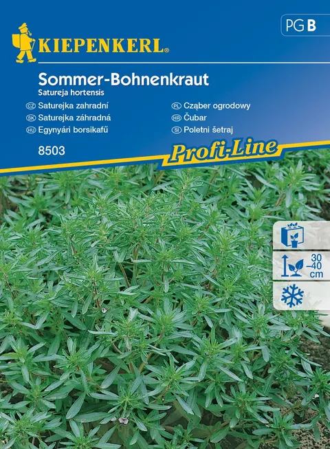 Cząber ogrodowy "Sommer-Bohnenkraut" – nasiona Kiepenkerl