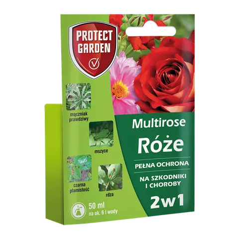 Multi rose Róże pełna ochrona 2 w 1
