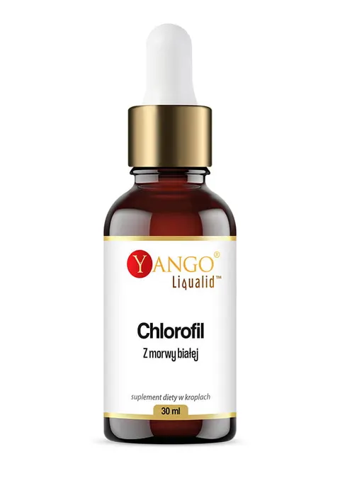 YANGO Chlorofil z morwy białej w kroplach (30 ml)