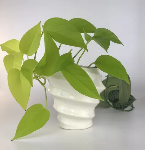 Osłonka ceramiczna Viki mała