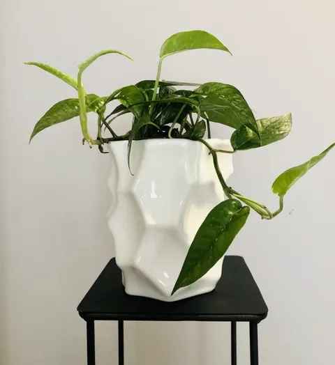 Osłonka ceramiczna Majka pojedyńcza