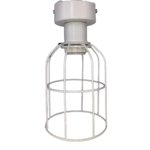 Lampa sufitowa Karla biała druciak E27
