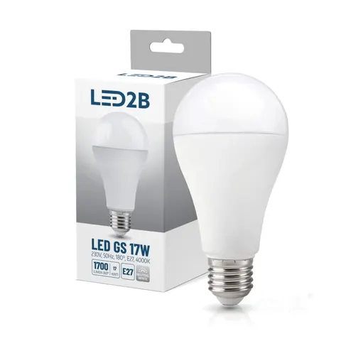 Żarówka LED GS 17W E27 6500K LED2B Neutralna Biała