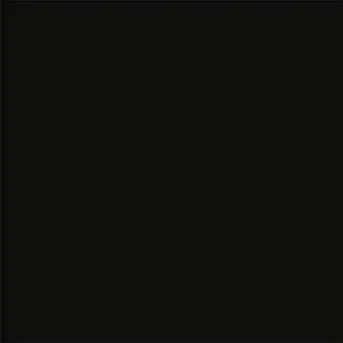 Terakota Vives Negro 20x20