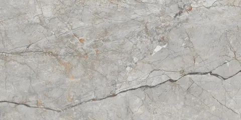 Płytka podłogowa Avorio Grey 60x120 cm Glossy