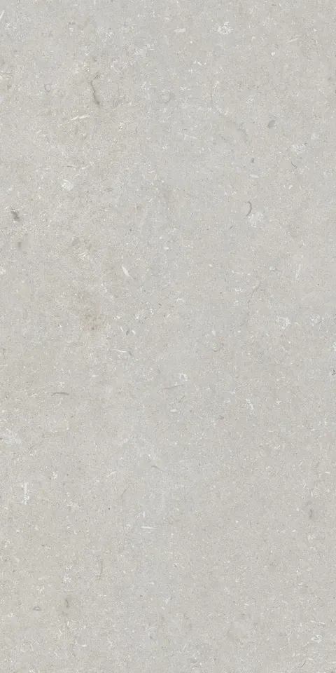 Gres na podłogę 60x120 cm jasny szary mat A4H1093 Shellstone Bianco