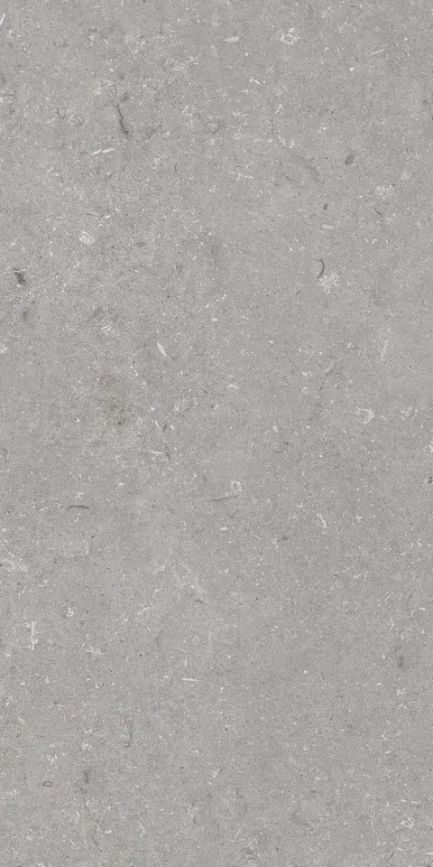 Gres na podłogę 60x120 cm szary mat A4H1096 Shellstone Grigio