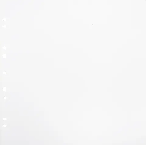 Album na zdjęcia Focus Carton Refillsheets for Ringbinder Gigant White 10-pack