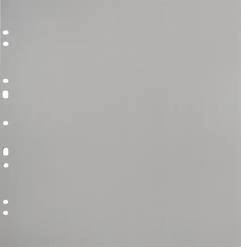Album na zdjęcia Focus Carton Refillsheets for Ringbinder Gigant Grey 10-pack