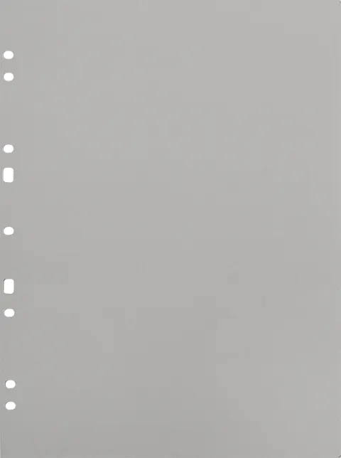 Album na zdjęcia Focus Carton Refillsheets for Ringbinder A4 Grey 30-pack