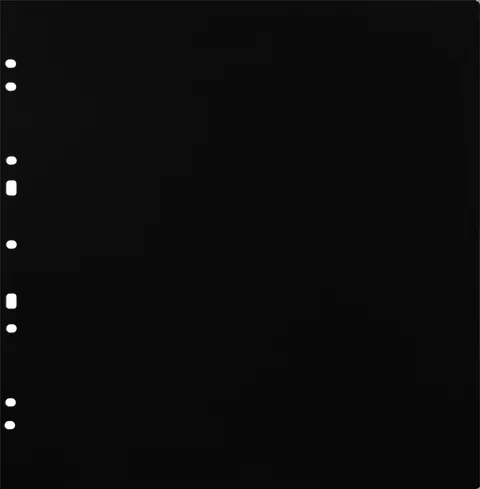 Album na zdjęcia Focus Carton Refillsheets for Ringbinder Gigant Black 10-pack