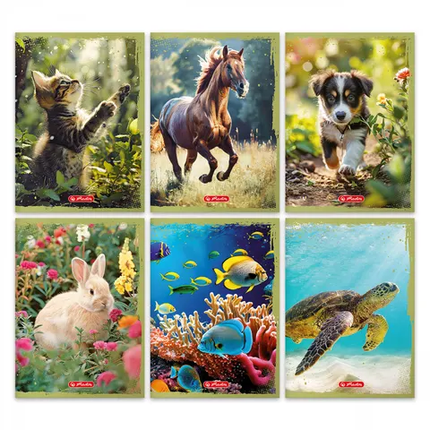 Zeszyt A5/16k kratka kolorowa Animals A 20 HERLITZ 400196855