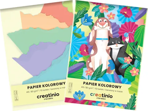 Papier kolorowy A5/10k Creatino A 10 HAMELIN 400176683