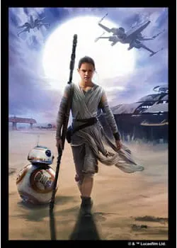 Star Wars the Force Awakens - Art Sleeve - Rey