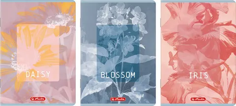 Zeszyt B5/80k kratka Blossom A 5 HERLITZ 400206169