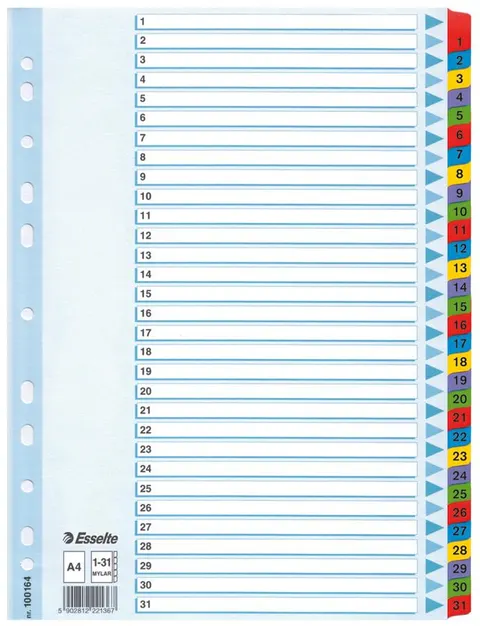 Przekładka A4 kartonowa od 1-31 numeryczna ESSELTE 100163