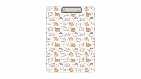 Clipboard A4 PVC zamykany Kittens BIURFOL KHN-04-35