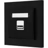 Gniazdo Ładowarka 1Xusb 2A Z Ramką Mini 12/12
