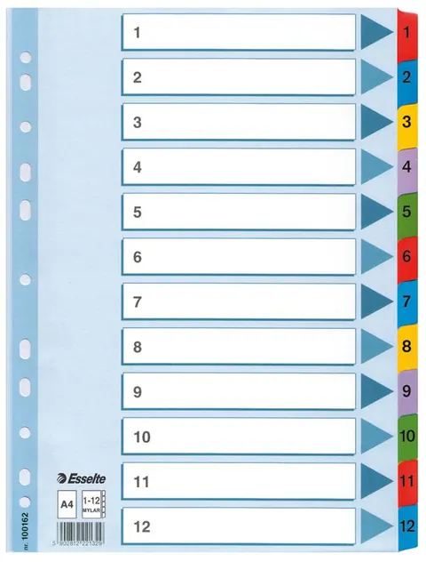 Przekładka A4 kartonowa od 1-12 numeryczna ESSELTE 100162