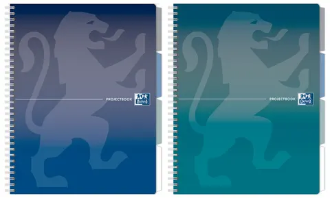 Kołozeszyt B5/80k kratka ProjectBook Oxford A 5 HAMELIN 400182993