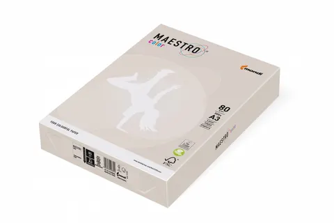 Papier ksero A4 80g MAESTRO COLOR GR21 Trendy szary
